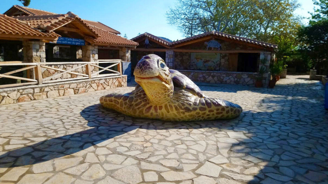 zante turtle center